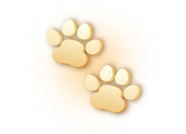 puppybet casino finger tips